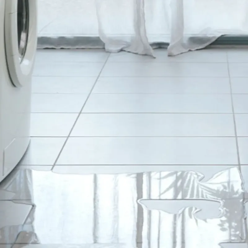 Appliance Leak Cleanup in Cockrell Hill, TX